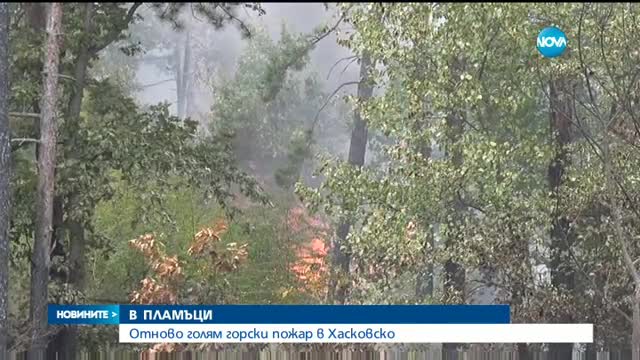 Отново голям горски пожар в Хасковско