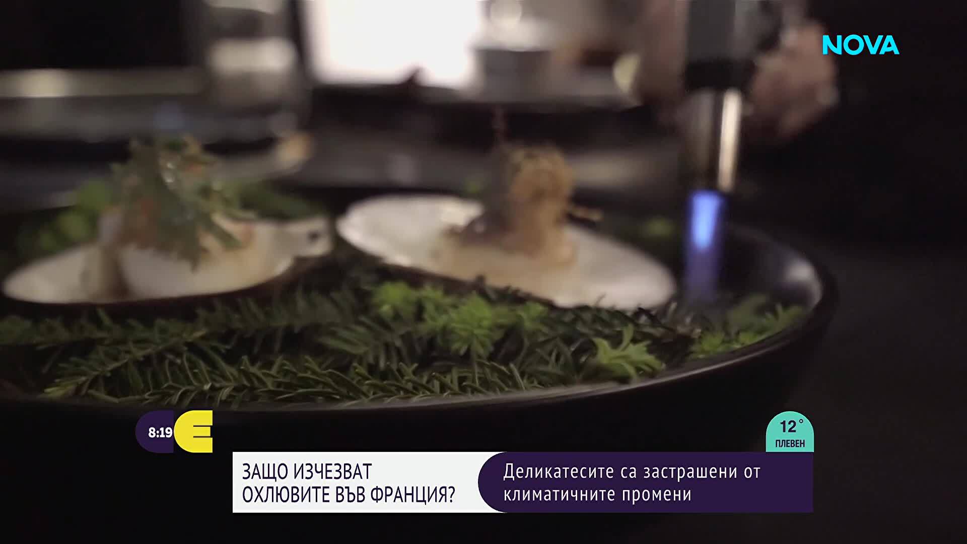 Жегата застрашава френски деликатес: Охлювите изчезват заради горещините и сушата