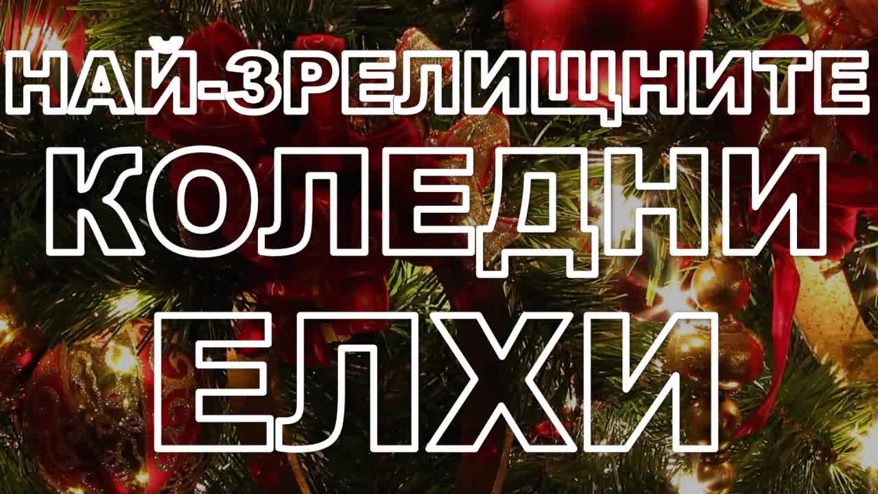 Най-зрелищните коледни елхи