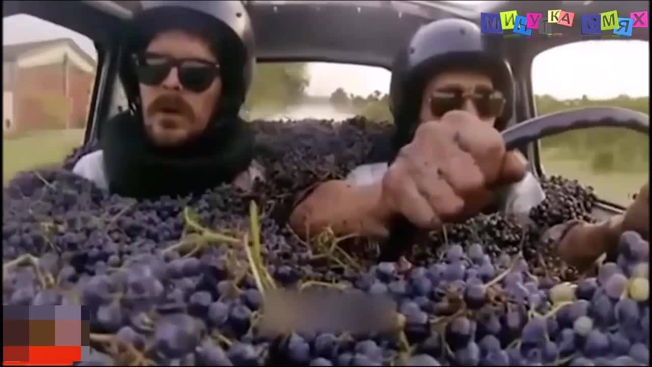 Тези са пълни идиоти - Минутка смях