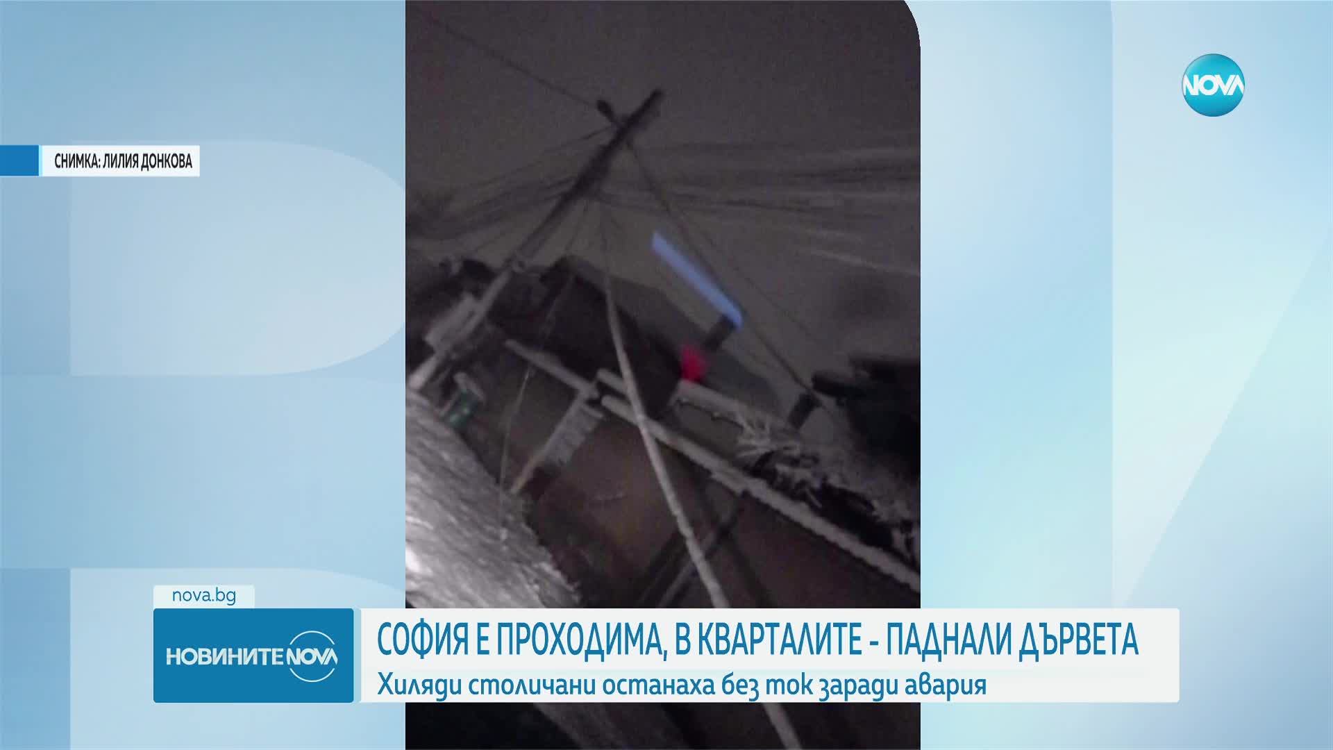 Около 35 см сняг в София: Над 1000 сигнала за паднали клони и дървета