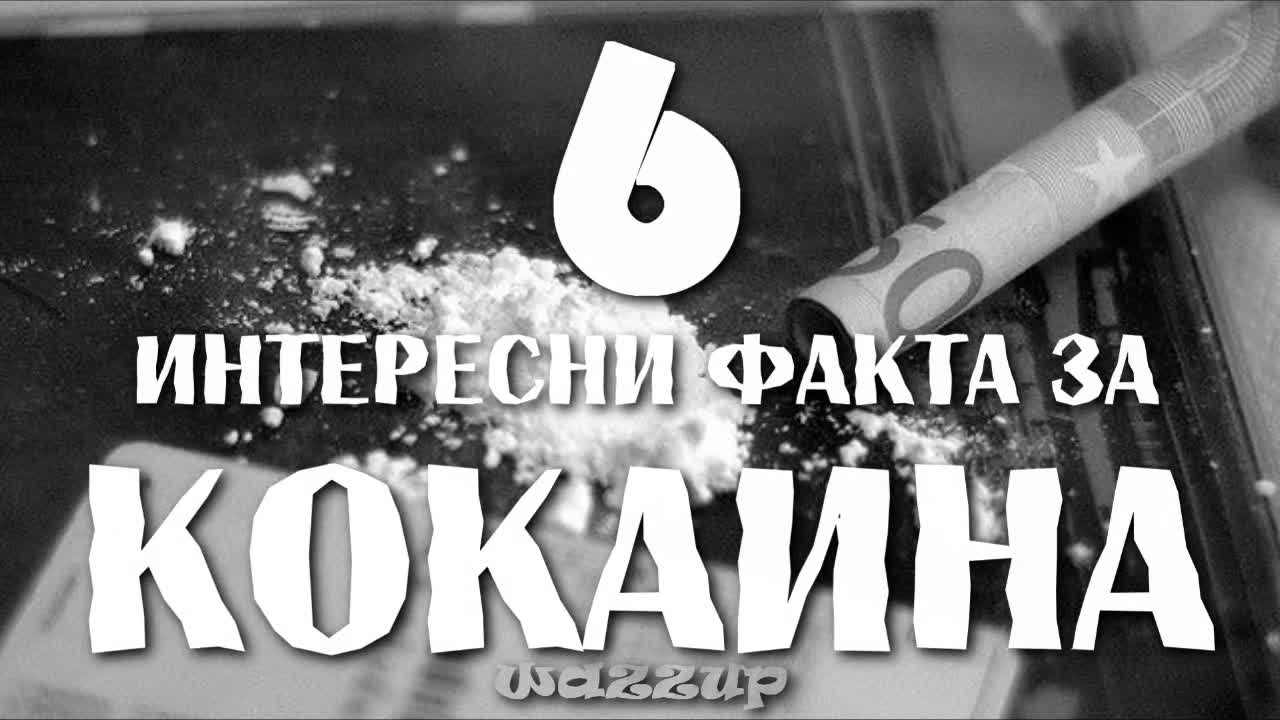 6 Интересни Факта за Кокаина