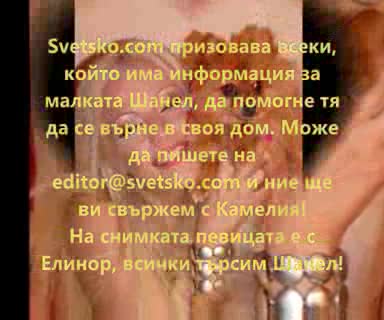 Камелия - - Помогнете! Голямата Уста Камелия Търси Кучето Си