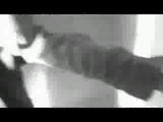 Skillet - Falling Inside The Black.(bg Subs)