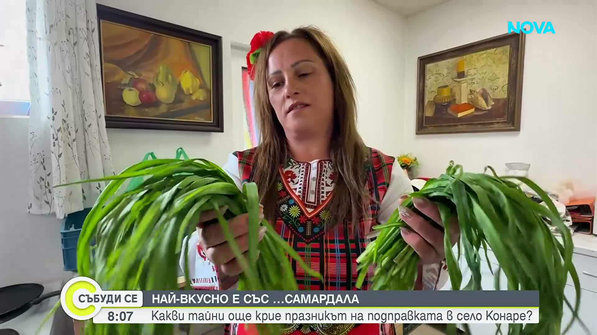 Какви тайни крие подправката самардала