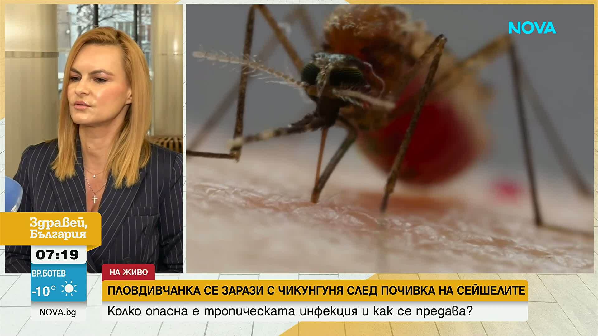 Пловдивчанка се зарази с чикунгуня след почивка на Сейшелите