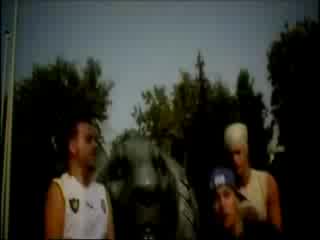 X - Team - Lion