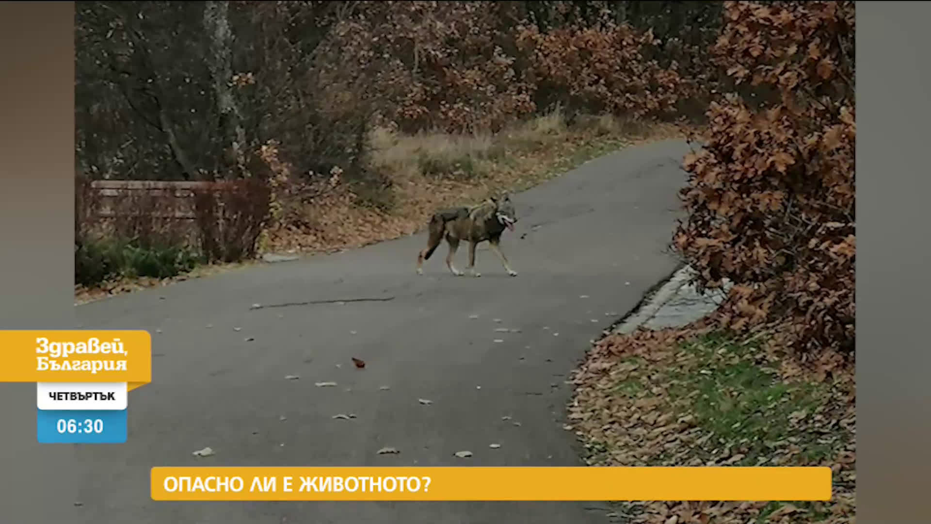 В „Здравей, България” на 18 февруари очаквайте