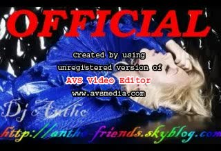 Lady Gaga - Paparazzi New Official Album (the Fame)