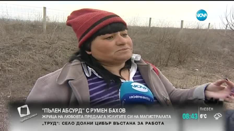 Депутат иска легализиране на платената любов