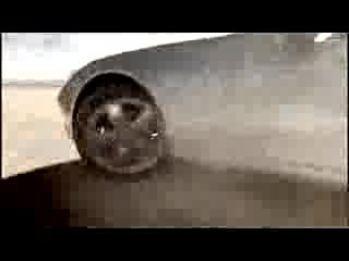 Реклама На Mercedes SLK-CLASS