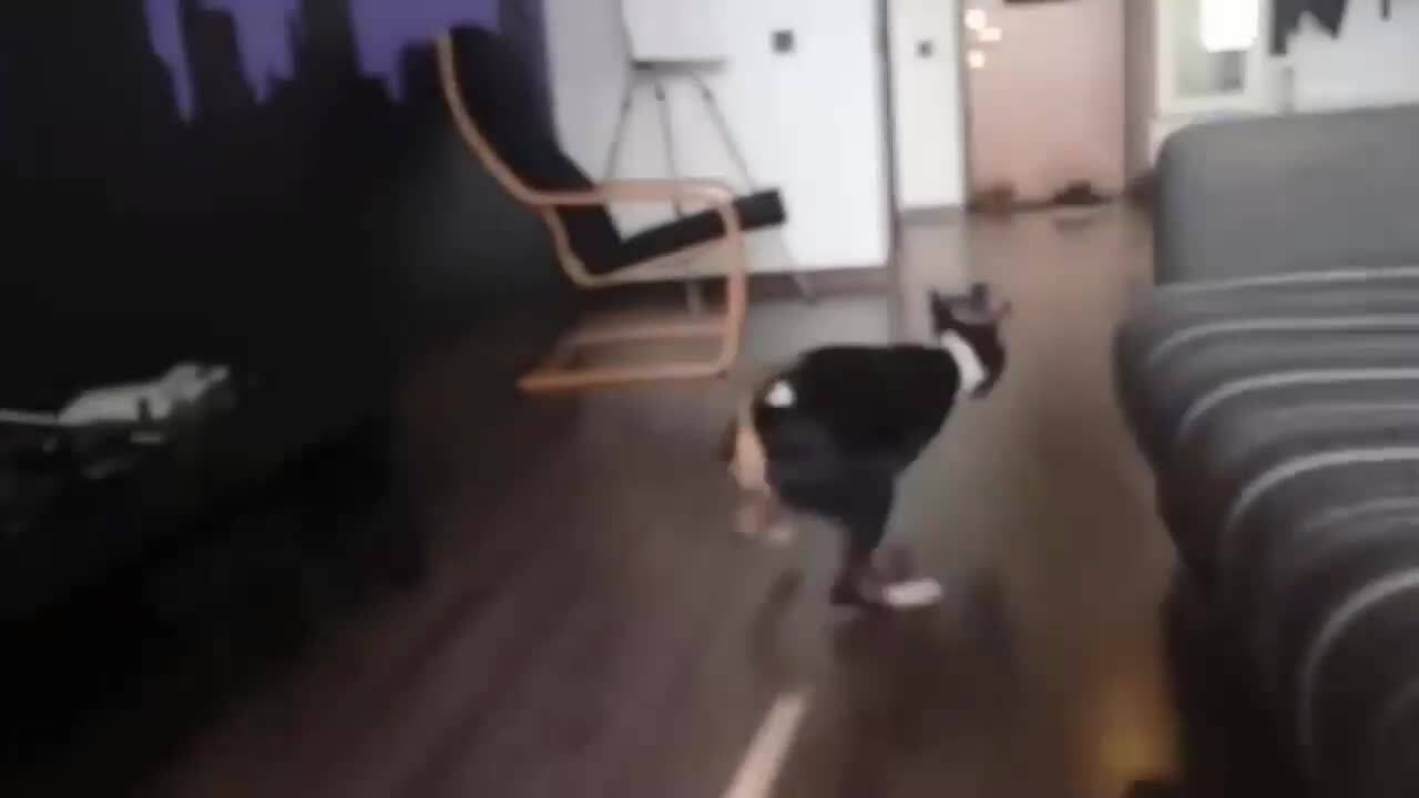 Супер ненормален смях!