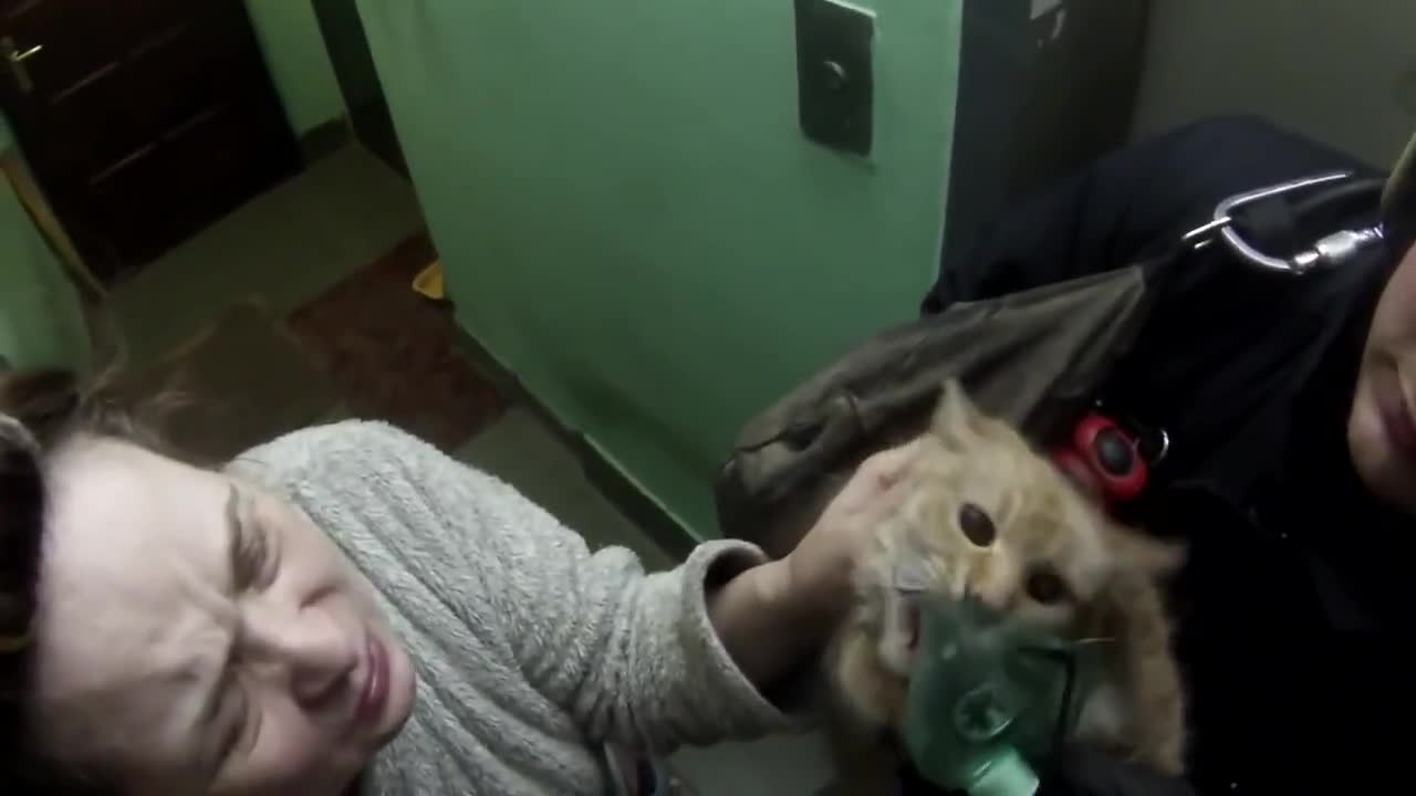 Спасиха коте с кислородна маска след пожар