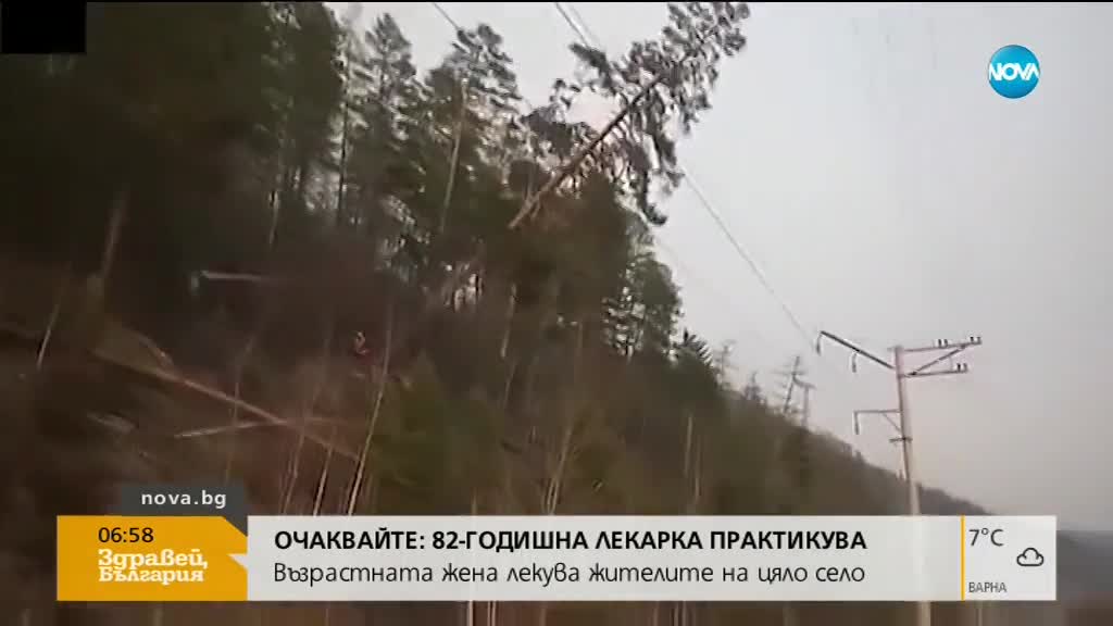 Пишман дървосекачи правят непоправима грешка