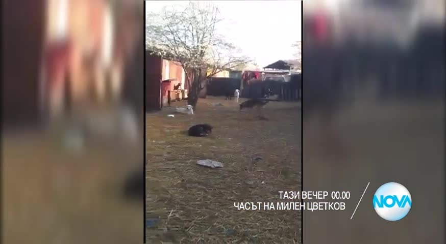В „Часът на Милен Цветков” на 7 април очаквайте