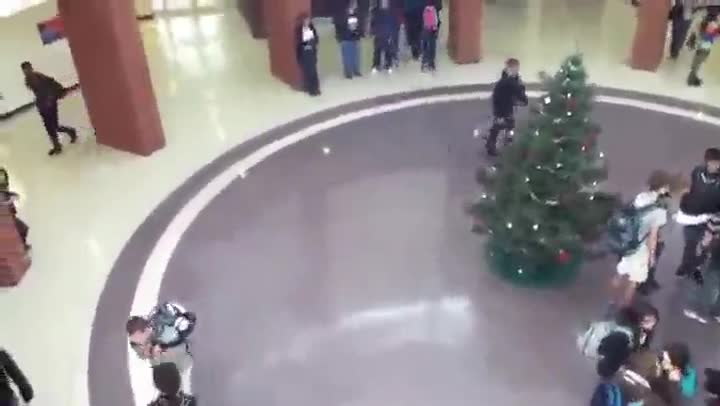Лудо момче се забива в елхата 