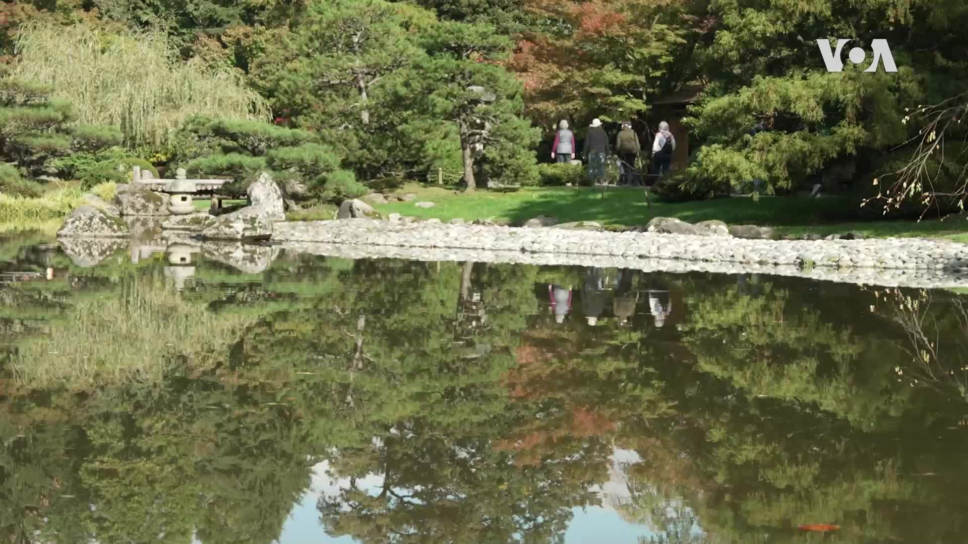 Seattle Japanese Garden