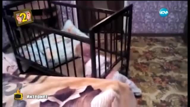 Гледам и не вярвам на ушите си - Господари на ефира (22.07.2015)