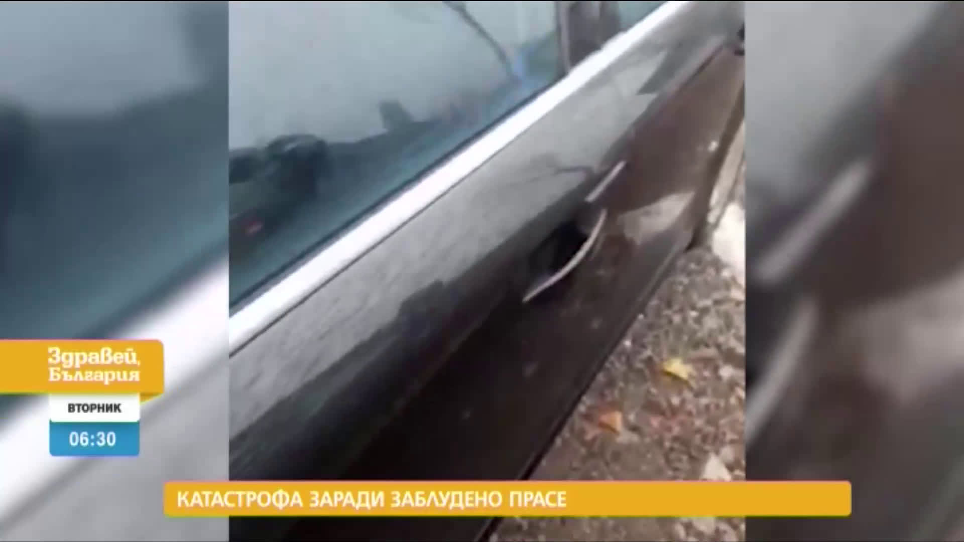 В „Здравей, България” на 15 декември очаквайте