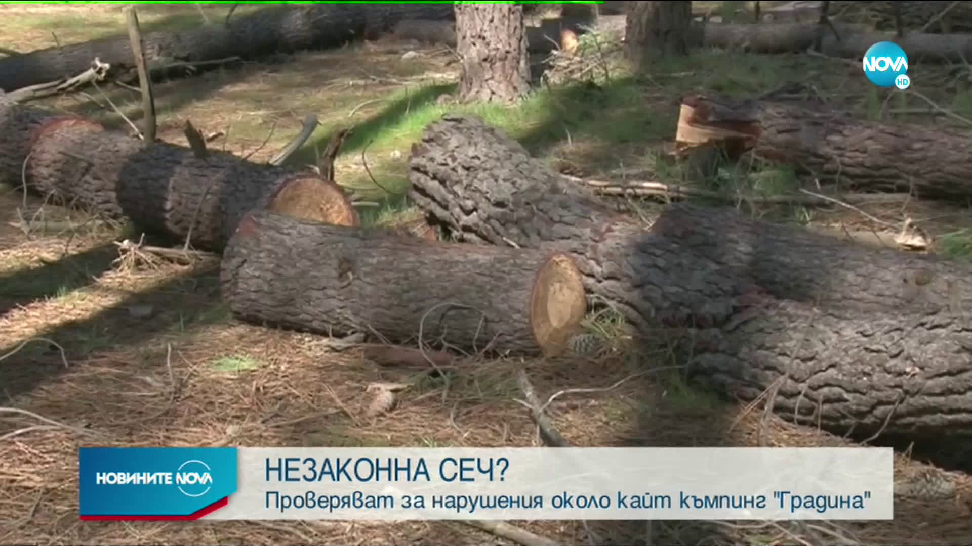 Недоволство заради сеч на дървета край Черноморец