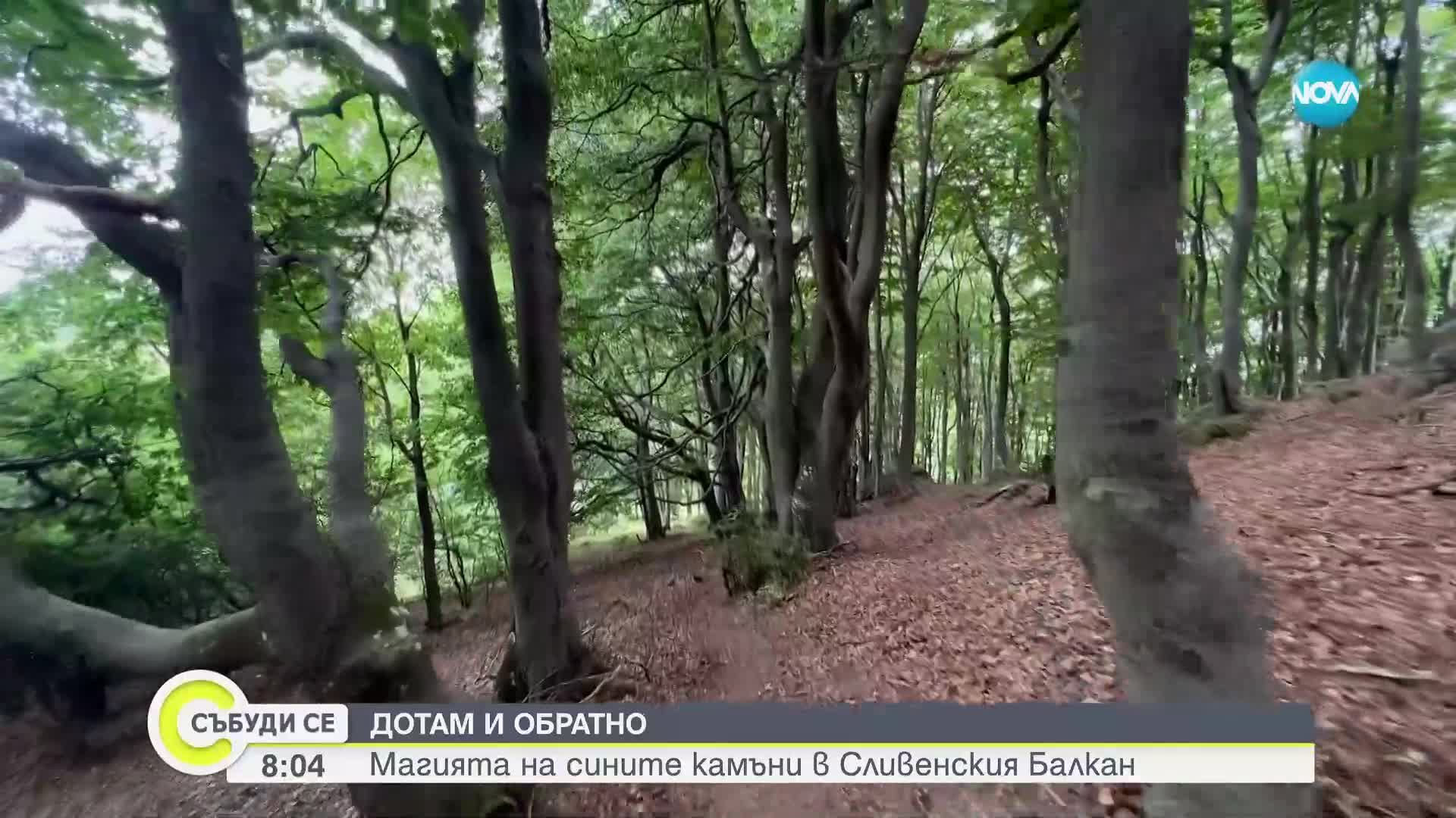 „ДОТАМ И ОБРАТНО”: Магията на „Сините камъни” в Сливенския Балкан (ВИДЕО)