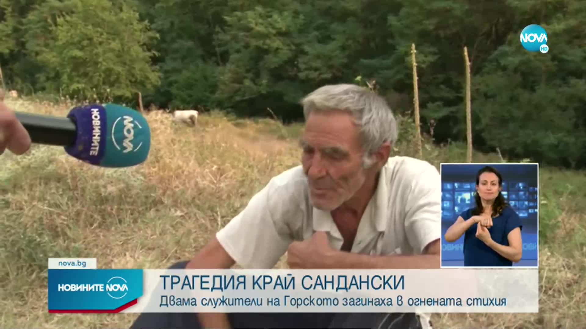 Пламъците в гората край Сандански взеха жертви