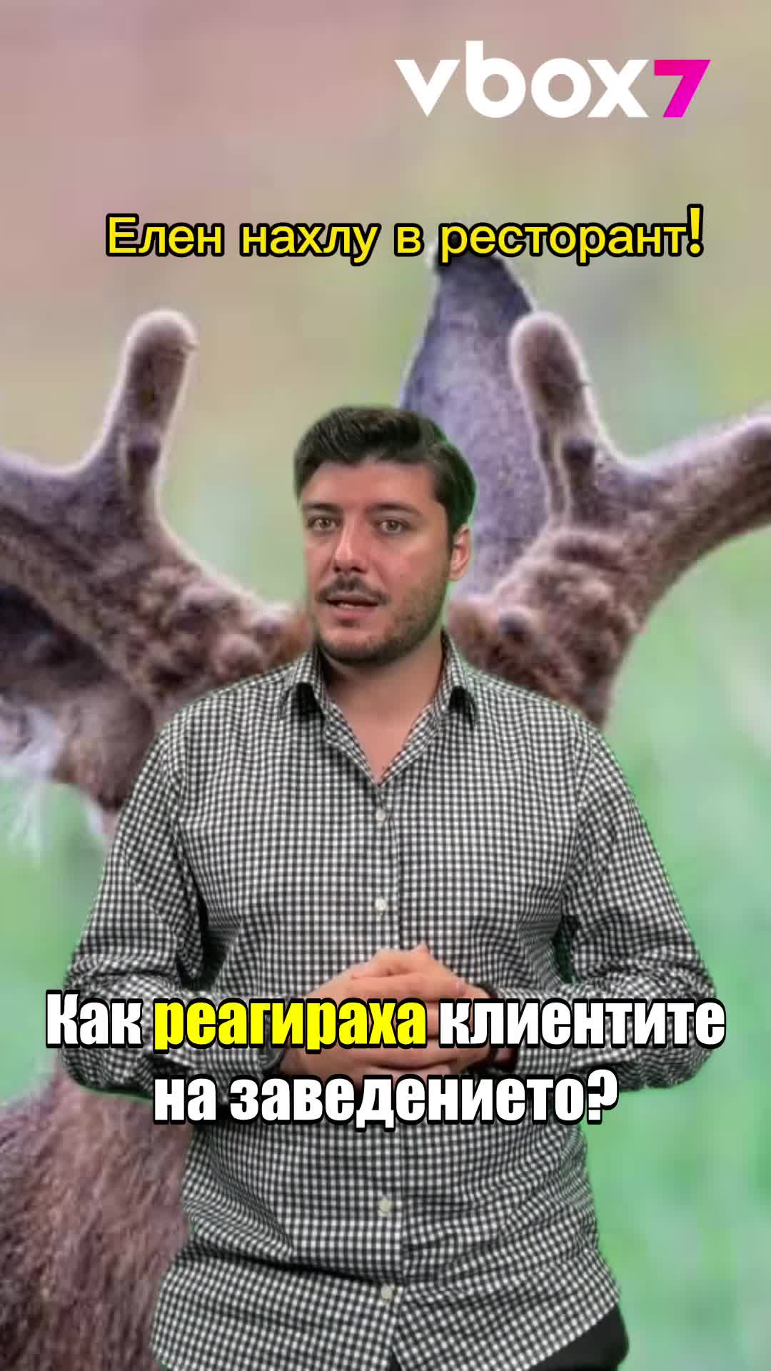 😅Какво се случи след като елен нахлу в ресторант?😲
