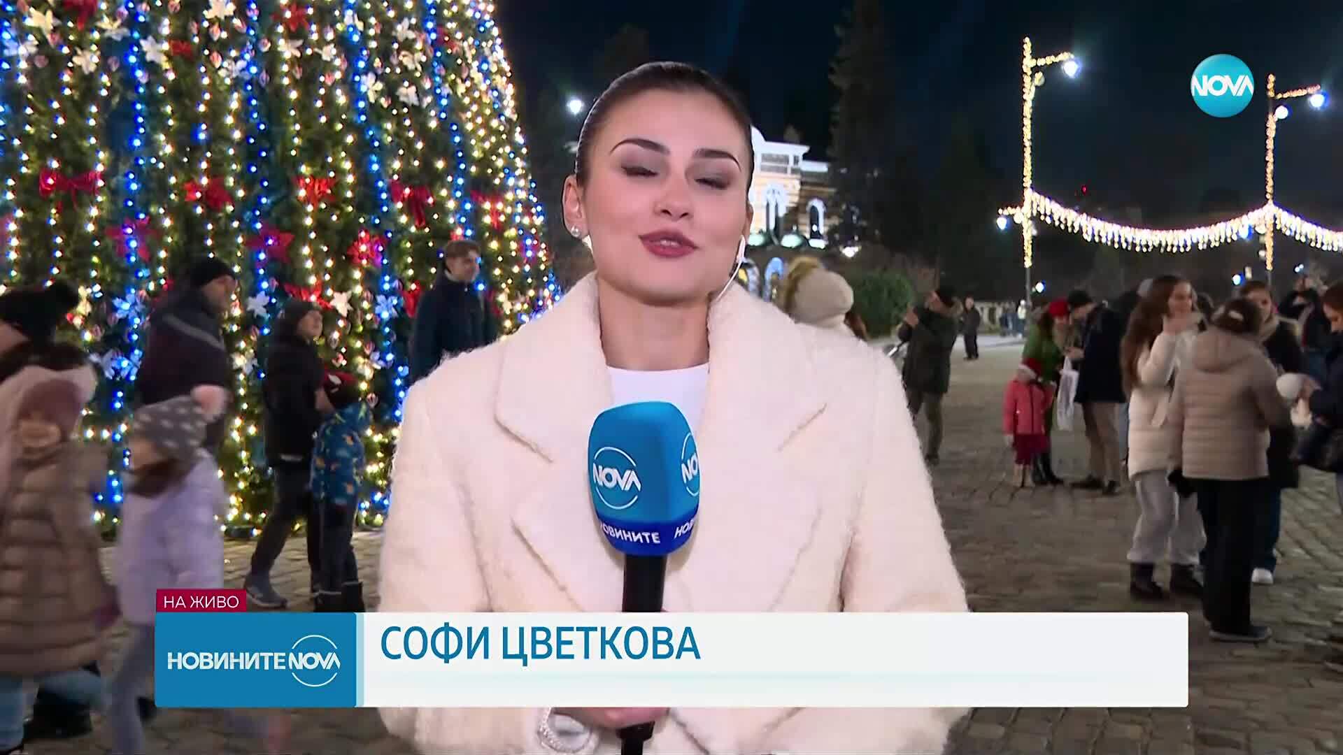 Грейна коледната елха на София