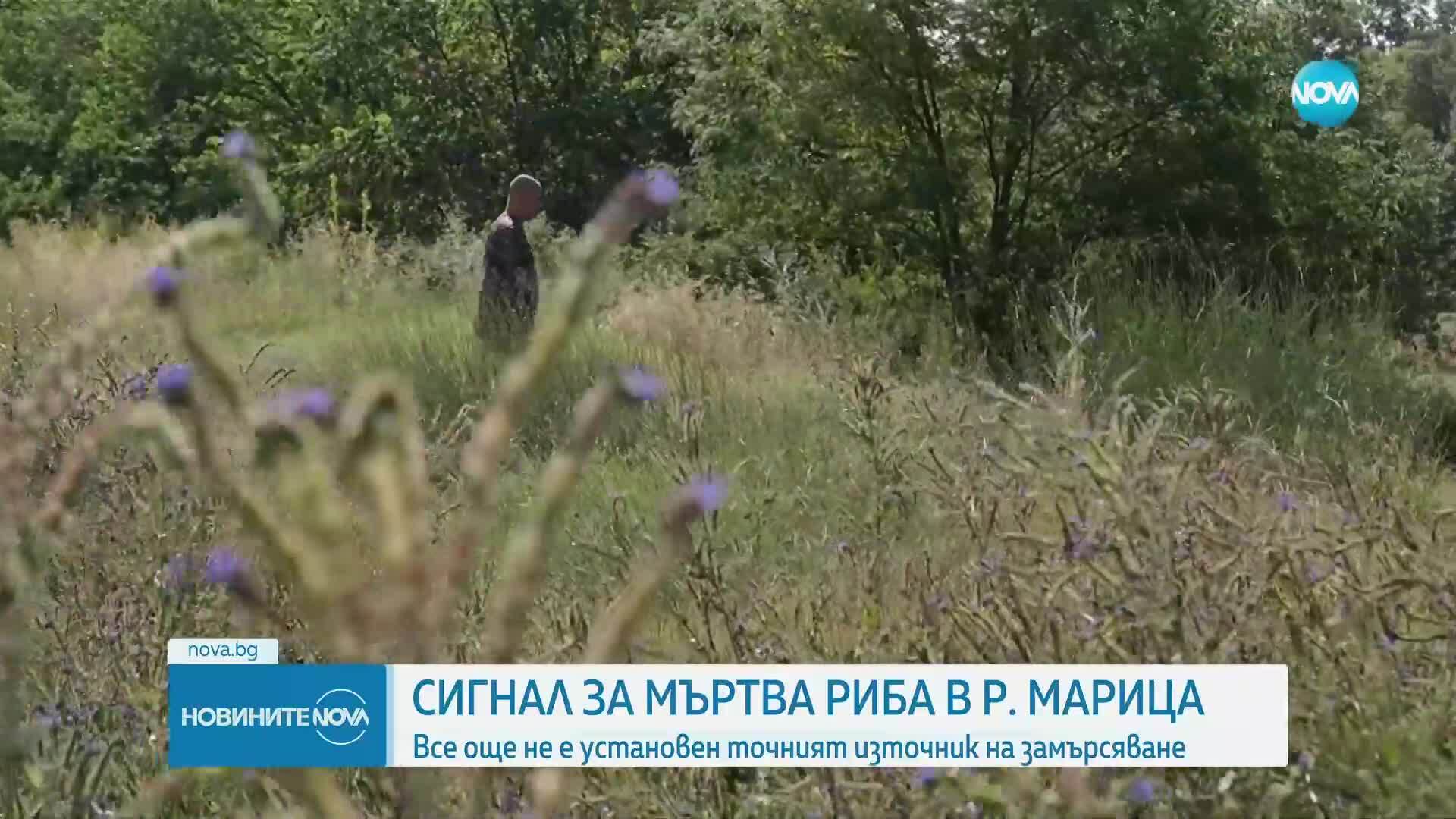 Новините на NOVA (30.06.2025 - следобедна емисия)