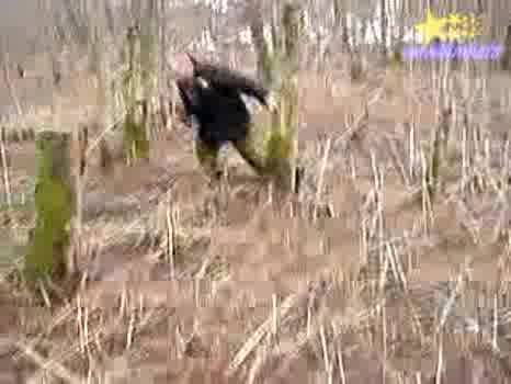 Когато Нямате Резачка За Дърва