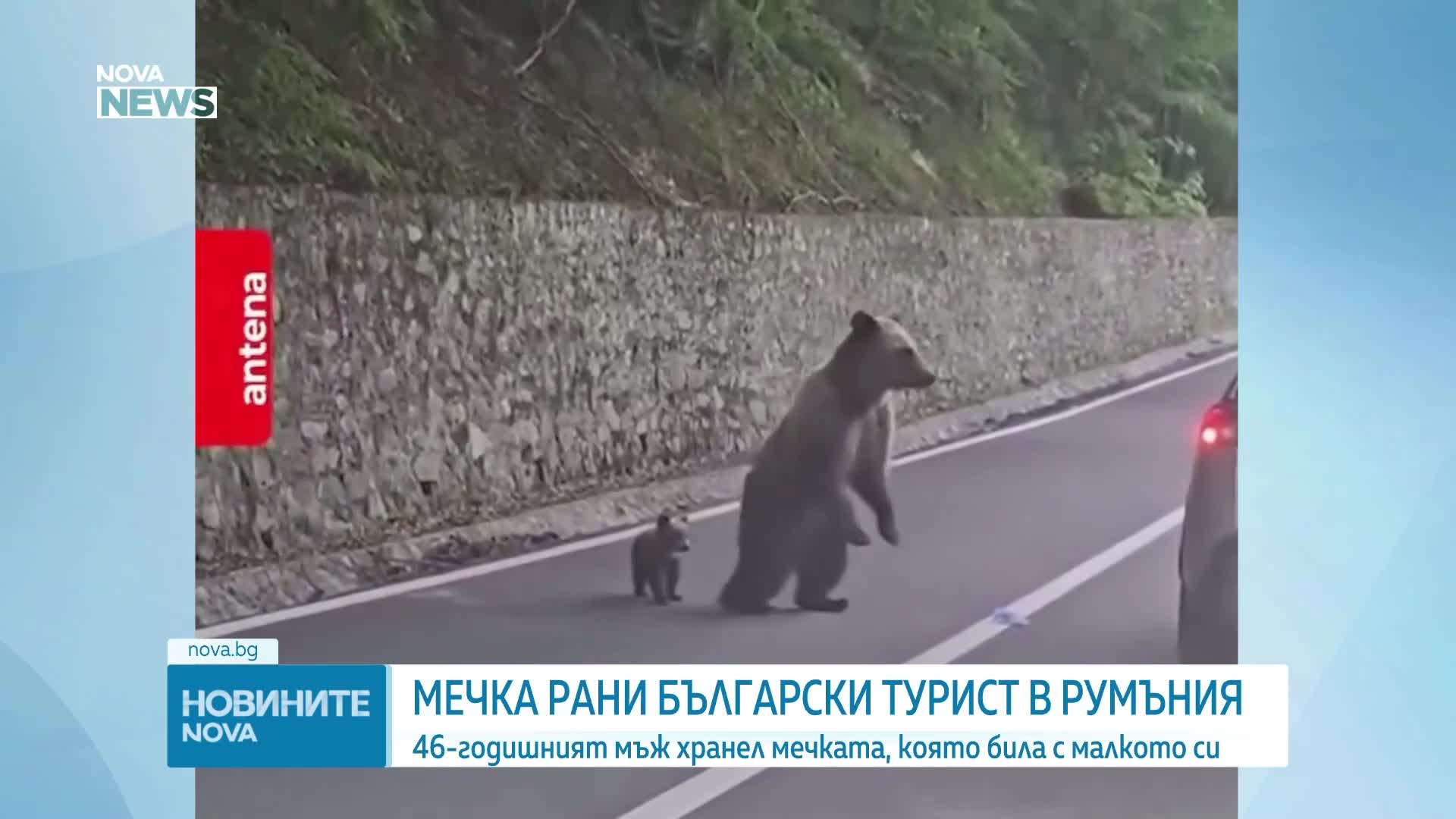 Мечка нападна българин в Румъния, мъжът е опериран