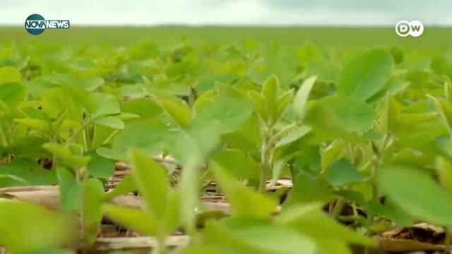 „Дойче веле”: Може ли световното население да се изхранва с нов вид земеделие