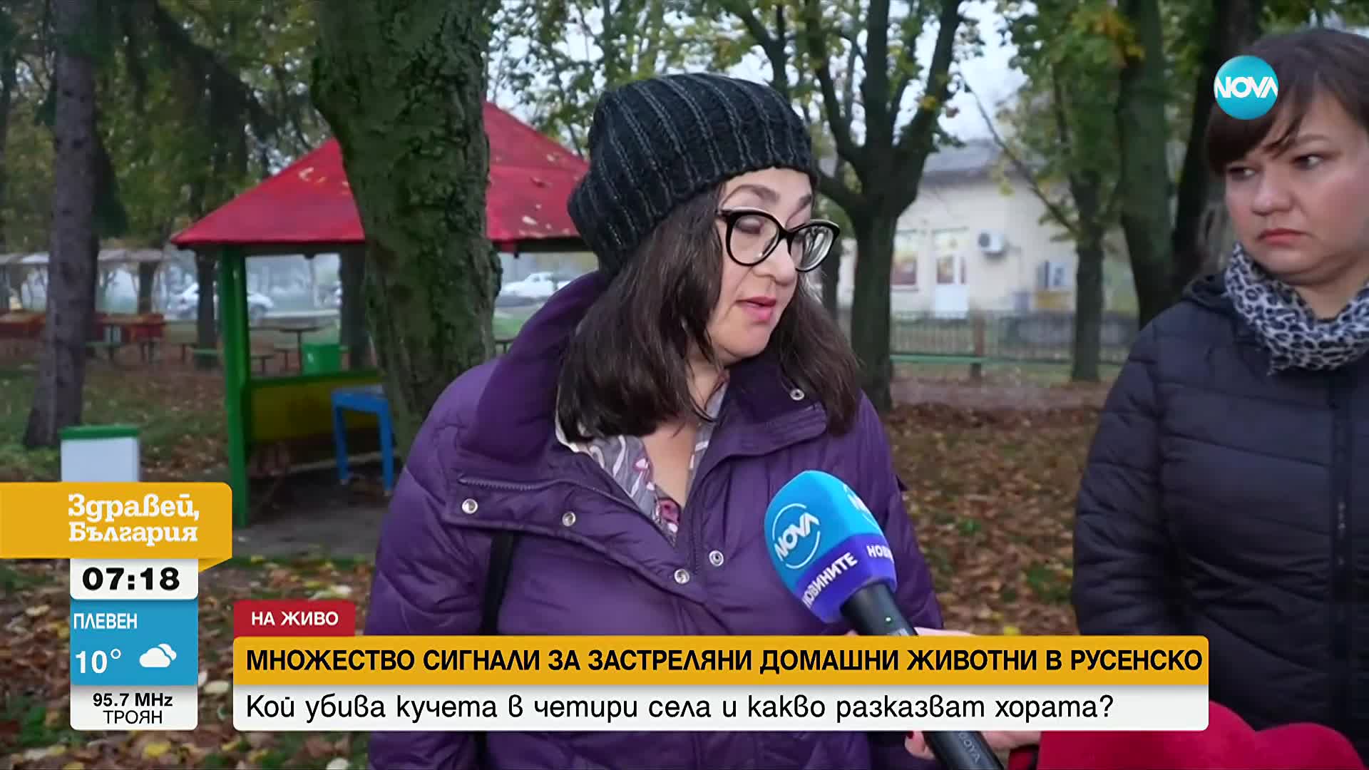 Множество сигнали за застреляни домашни кучета в Русенско