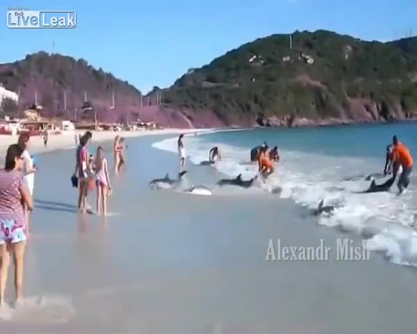 Доброто ще спаси света!