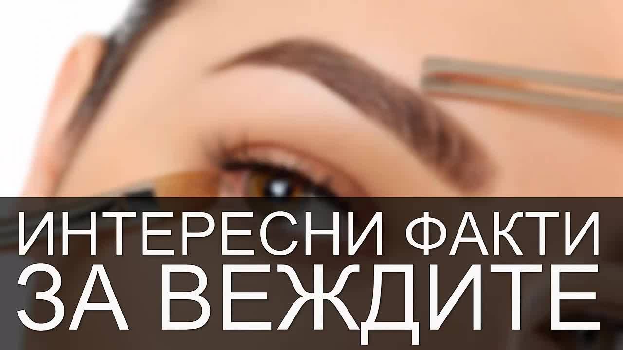 Интересни факти за веждите