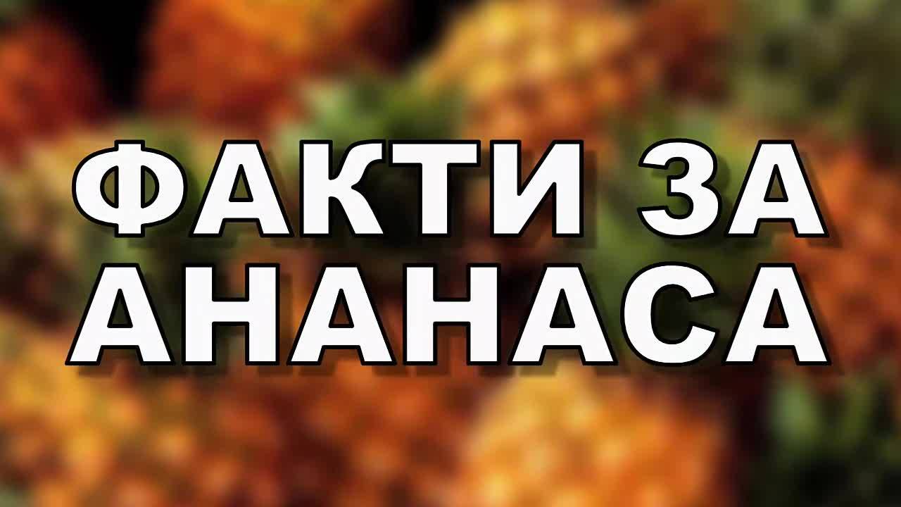 Факти за ананаса