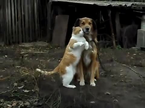 За Приятелството няма граници!