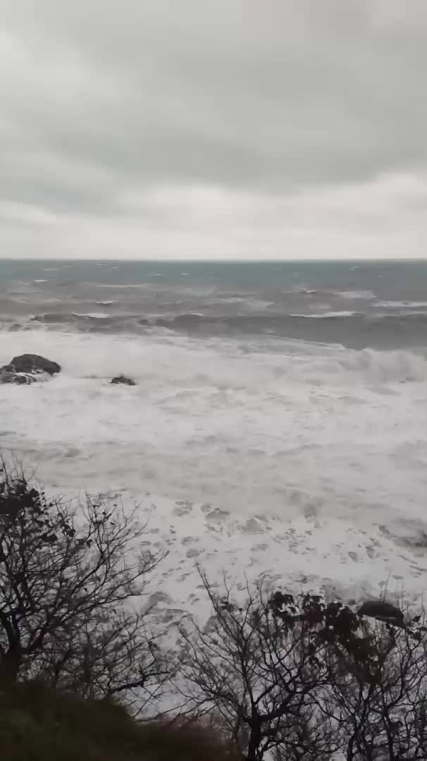 Зимно море