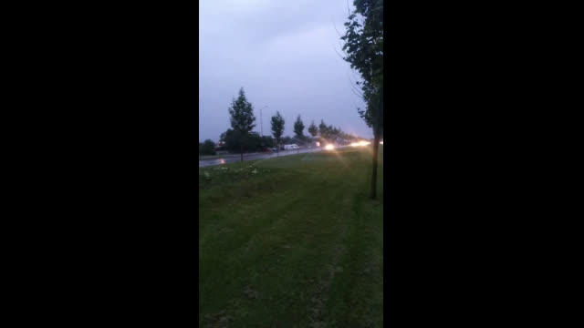 Поливна система си поливаше трева, въпреки дъжда