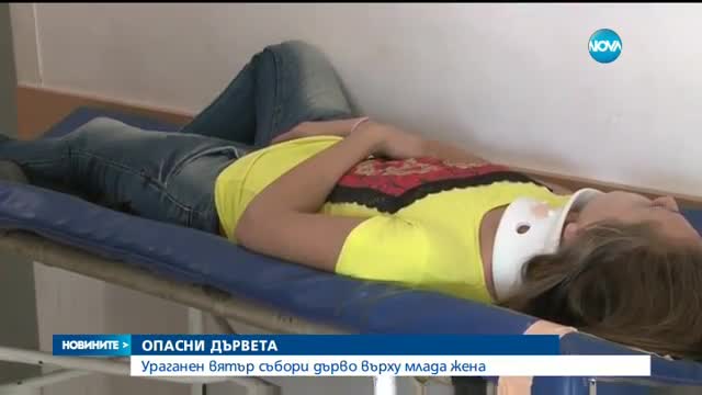 Клони на дърво паднаха върху учителка в Пловдив