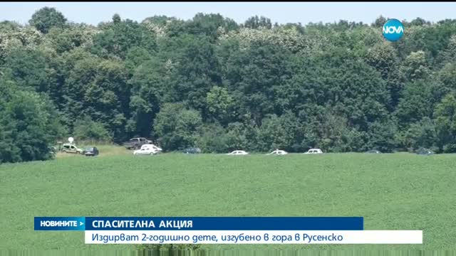Издирват 2-годишно момче в гората край село Тетово