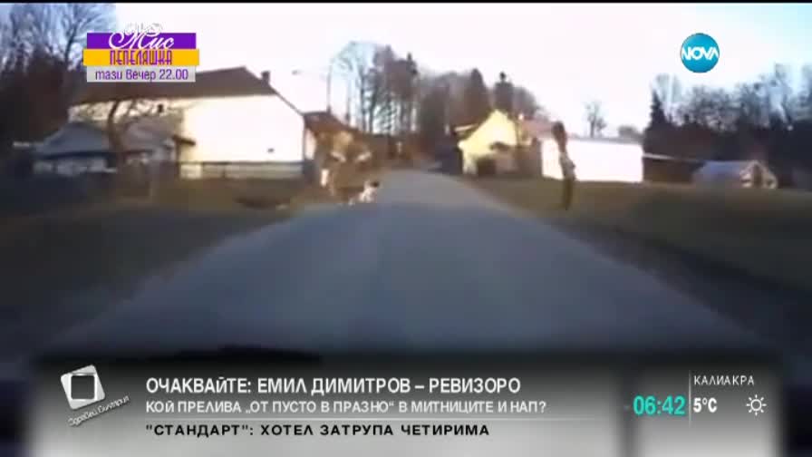 Куче разхожда дете