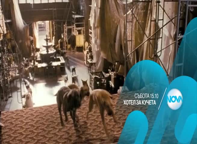 „Хотел за кучета” на 2 януари от 15.10 ч. по Нова