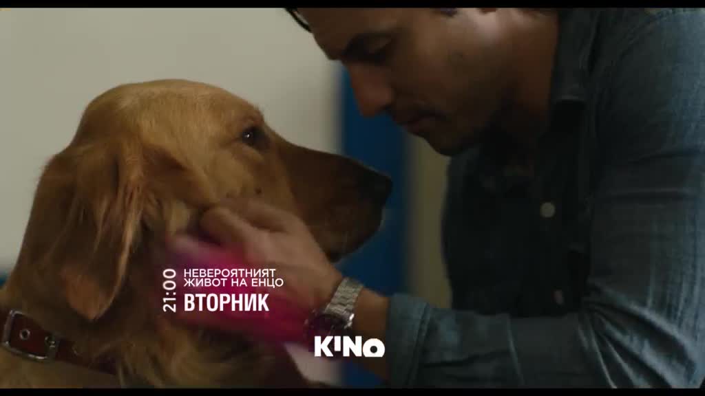 "Невероятният живот на Енцо" на 14 април, вторник от 21.00 ч. по KINO NOVA