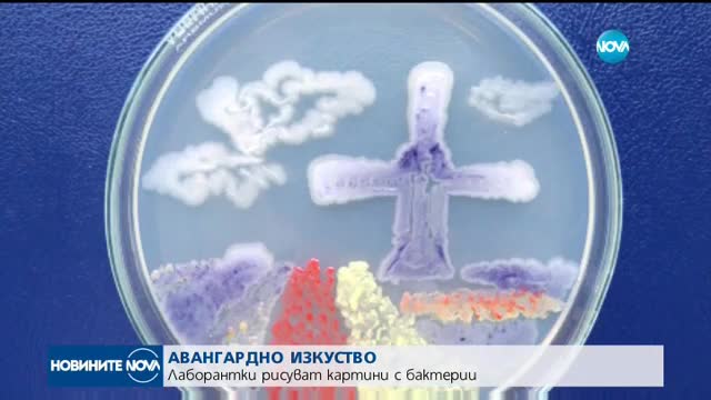 АВАНГАРДНО ИЗКУСТВО: Лаборантки рисуват картини с бактерии
