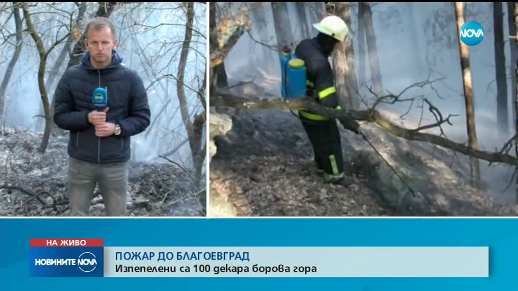 Пламна борова гора над Благоевград