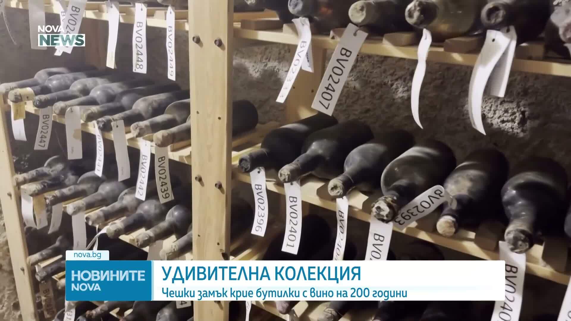 Удивителна колекция: Чешки замък показва бутилки с вино на повече от 130 години
