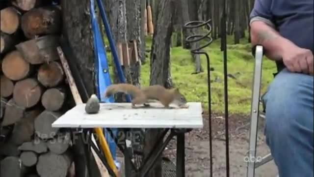 33 Минути Доза Смях На Макс