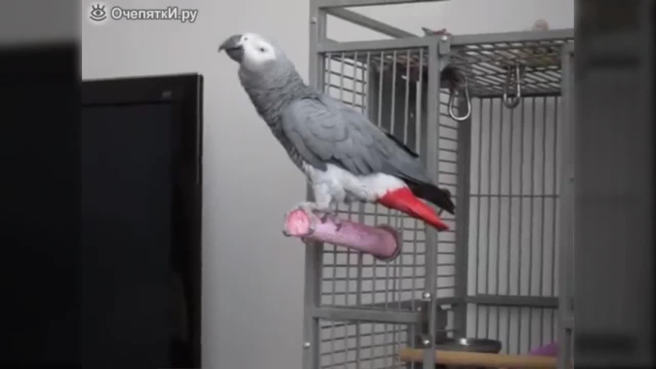 Казвам се Бонд, Джеймс Бонд