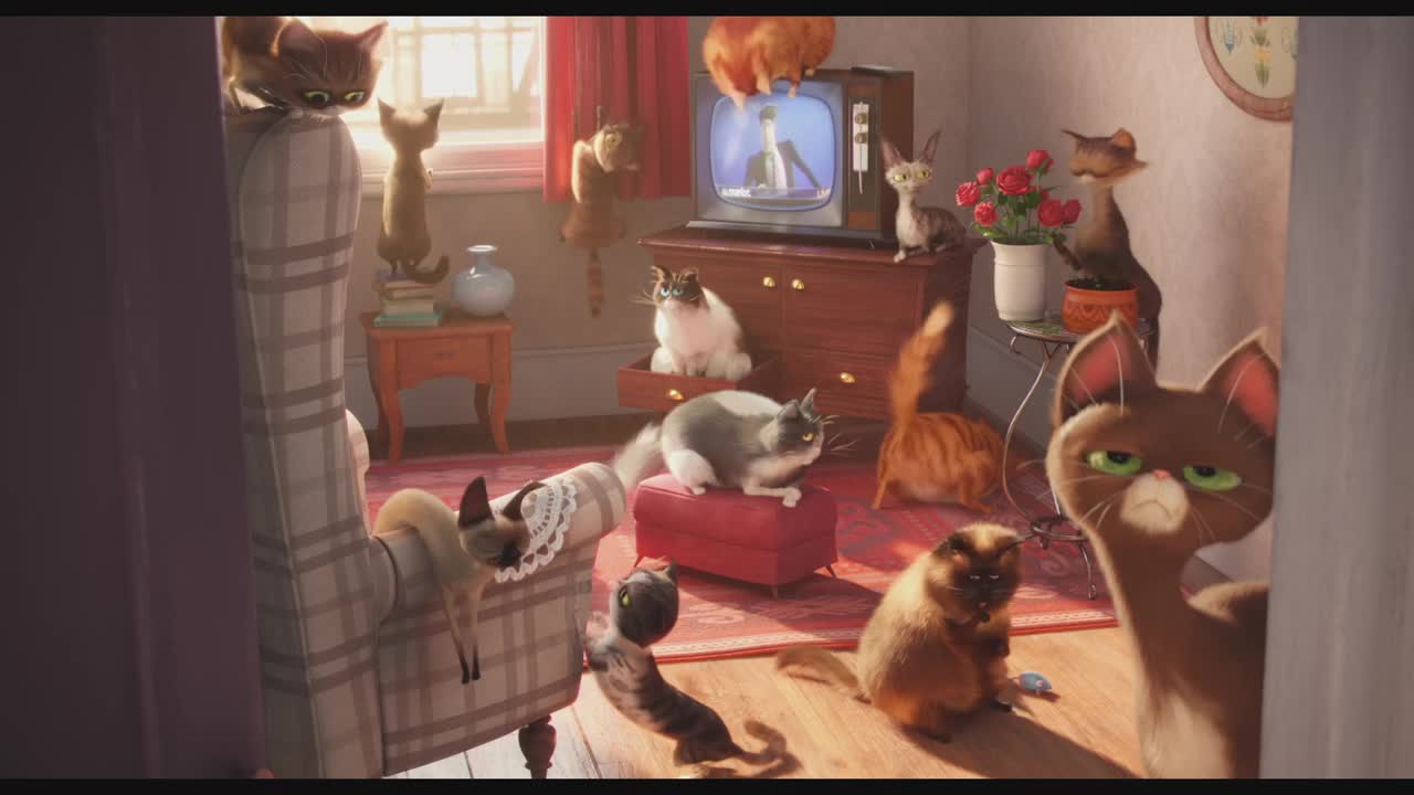 САМИ ВКЪЩИ - първи трейлър